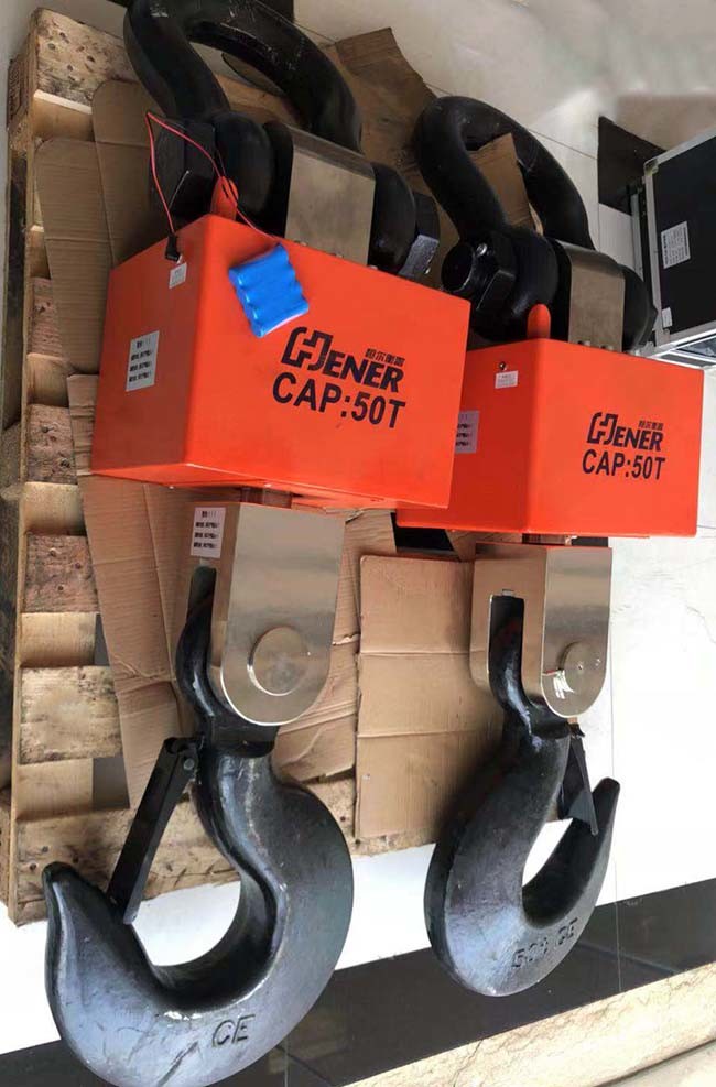 Стальной нержавеющих/радиотелеграф цифров масштаба крана смертной казни через повешение углерода электронный 10 тонн