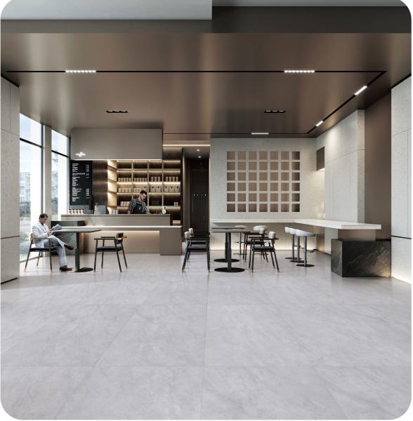 Carreaux antibactériens gris clair et 48 x24 de sol extérieur de qualité AAA Carreaux de porcelaine pour la salle de bain