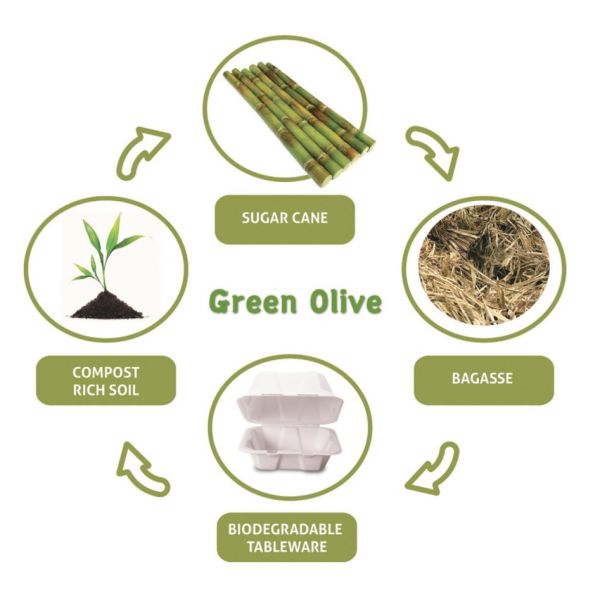 бумажная крышка 80mm кофейной чашки biodegradable для 8oz takeout напитка, пульпа сахарного тростника, прочный, устранимая