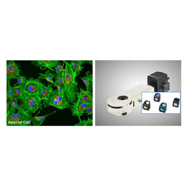 Research Scientific Full Auto Motorized Opto-Edu Binocular Biological Microscope A12.1095