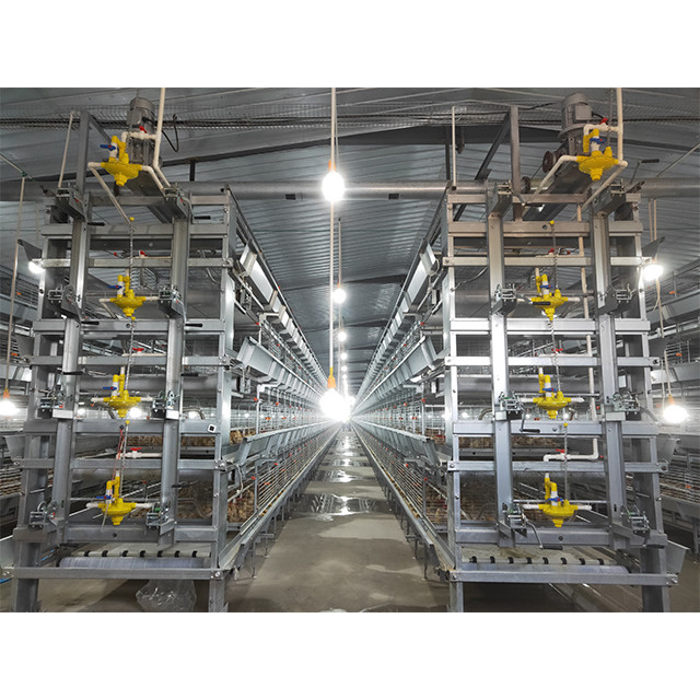 H Type Layer Chicken Cage Automatic Poultry Equipment Battery Cage For Layer Chicken