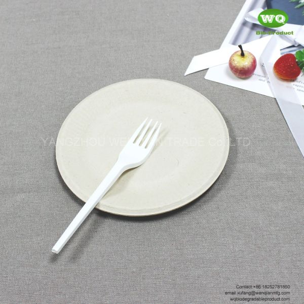 5 inch sugarcane compostable plates Natural plant fibers Plate, eu standard food dish biodegradable party plate