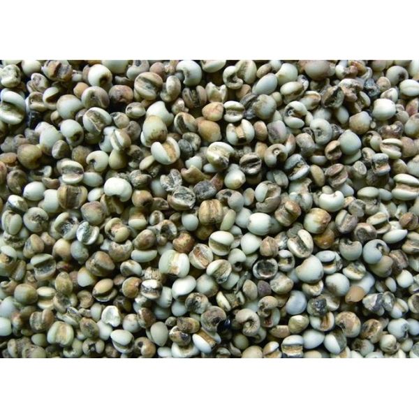 Recyclable 10 Channels Coix Rice Color Sorter With Full Color CCD RGB Camera