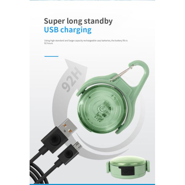 Logotipo personalizado IPX8 impermeable ajustable Perro Iluminación de etiqueta para caminar por la noche Parpadeo Brillante luminoso USB recargable