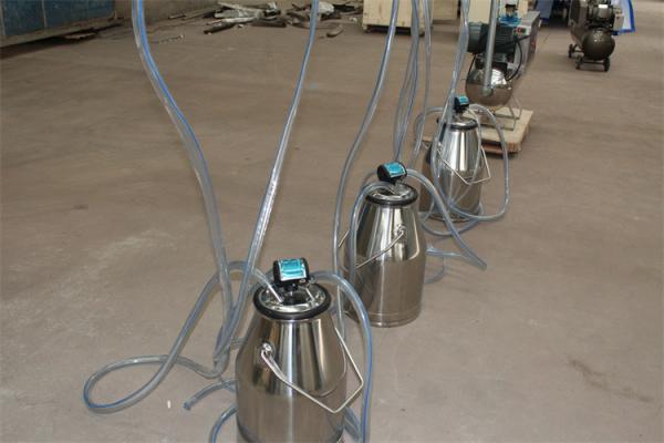 HL-JN10 Cow Farm Pail Bucket Milking Machine with Electric Motor 380V 50Hz
