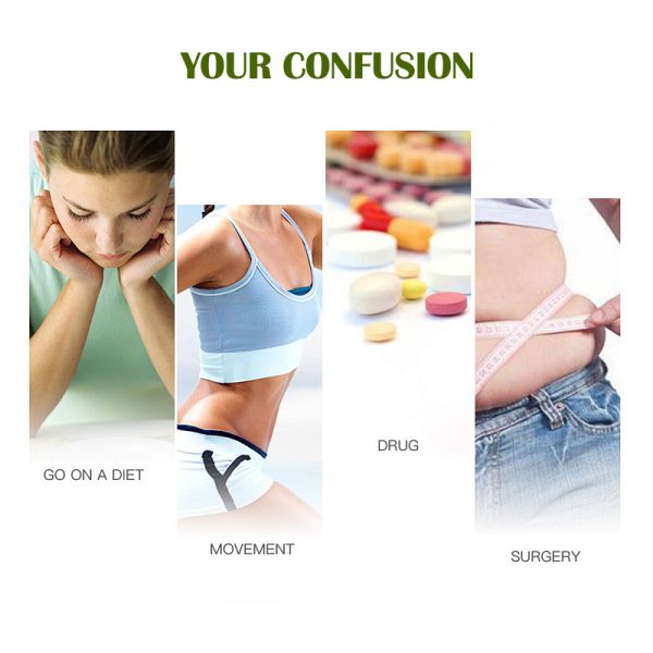 Men's & Women's Health Gummies – Lime Flavor with Chlorophyll, Apple Cider Vinegar, Pineapple Enzyme & Probiotics