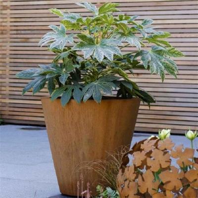 Plantadores cônicos de aço afilados exteriores de Corten do cilindro dos potenciômetros de flor do metal do jardim