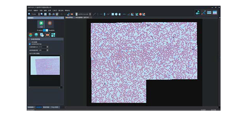 Opto Edu A16.0960 Research Level Inverted Fluorescent Microscope Motorized Nosepiece Condenser