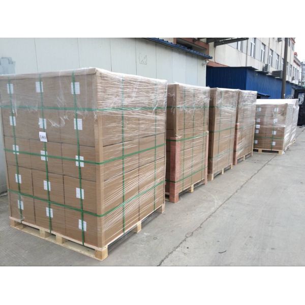 Petit pain brillant imperméable 4