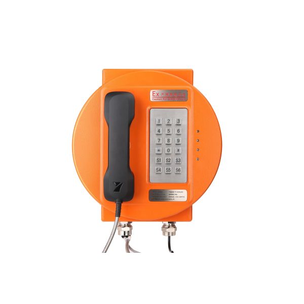 Outdoor IP66 Explosion Proof Telephone with Aluminium Alloy Enclosure and Strong Noise Canceling for Hazardous Areas