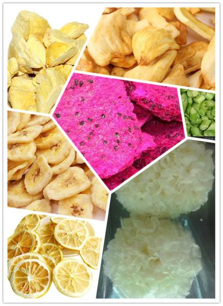 Electric Heating Small Home Freeze Dryer SUS304 For Fruit And Vegetable
