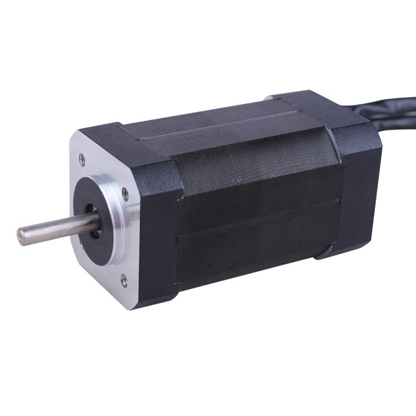 мотора 36v Dc 36Voltage 42mm мотор Dc безщеточного безщеточный
