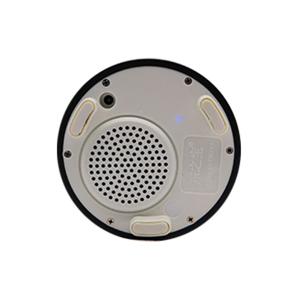 Wedding Gifts Gothic Dark Preserved Flowers In Glass With Bluetooth Speaker