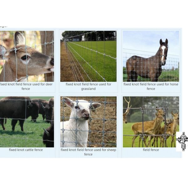 Galvanized Field Fixed Knot Fence , High Tensile Horse Fence For Grass Field