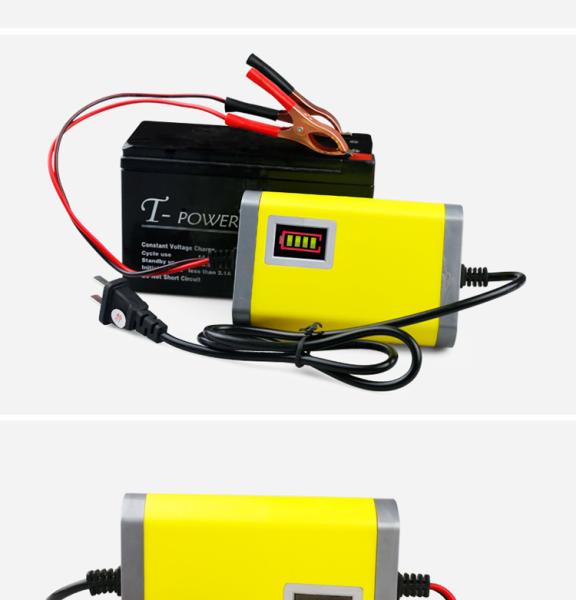 High efficiency powerful SMART battery charger 12v/24v 5A 10A 20Amp for lead acid battery