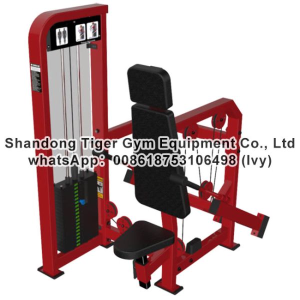 Gym Fitness Equipment Seated dip / Triceps extension exercise machine
