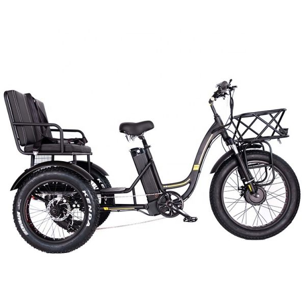 Lightweight Aluminum Frame Electric Tricycle 48V 750W 21AH 50KM/H for Adult