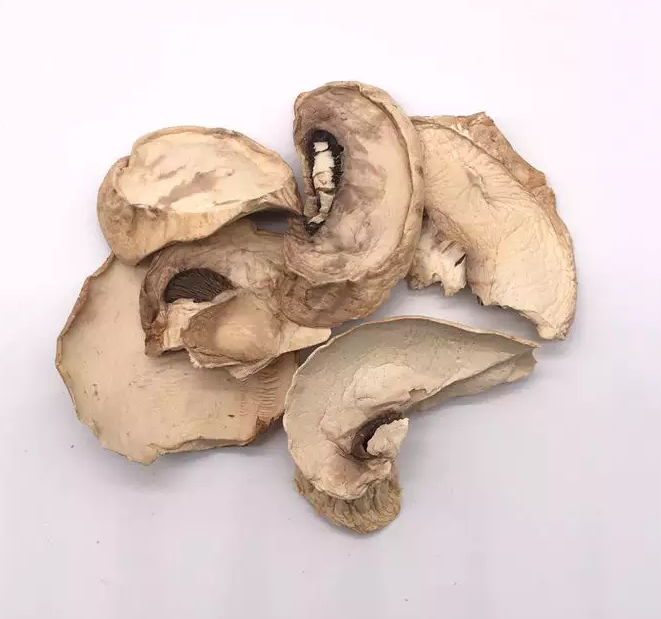 большая часть сумки культивирования гриба шиитаке 10x10mm Браун японская сухая