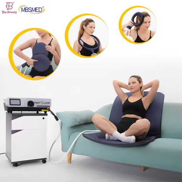 Pulsed Electromagnetic Field Reduce Inflammation Physio Magneto Pemf Magnetic Therapy Device Horse Human