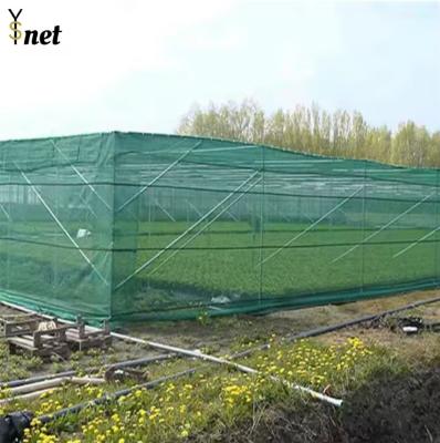 Réseau d'ombre au soleil vert HDPE Réseau d'ombre agribegri Durable pour l'agriculture
