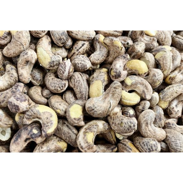 PXD Intelligent RGB Optical Sorter— A High-Value AI Optical Sorting Solution Built for Nuts and Dried Fruits
