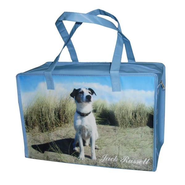 sell good quality pp woven tote bag
