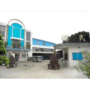 pins centre company ltd