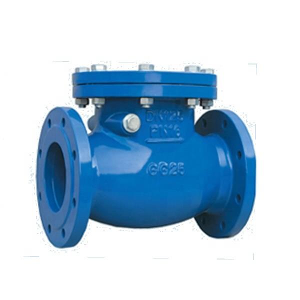 Carbon Steel Swing Type Check Valve ANSI / JIS / DIN 3202 F6 Flanged