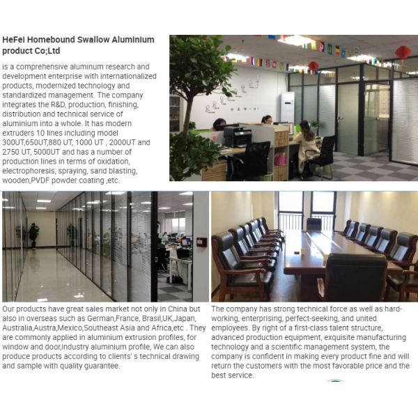 Pet Training Equipment Wood Dog Treadmill for Active Furry Friends