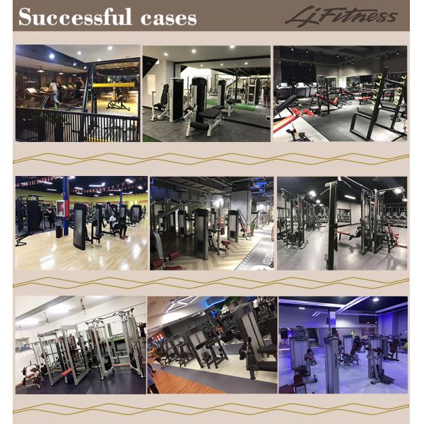 Black Full Gym Equipment Hammer Strength Plate Loaded Reverse Hyper Trainer