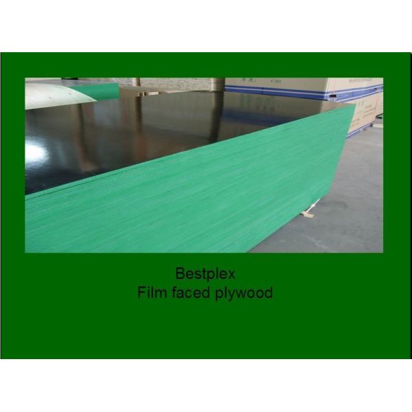 WBP plywood