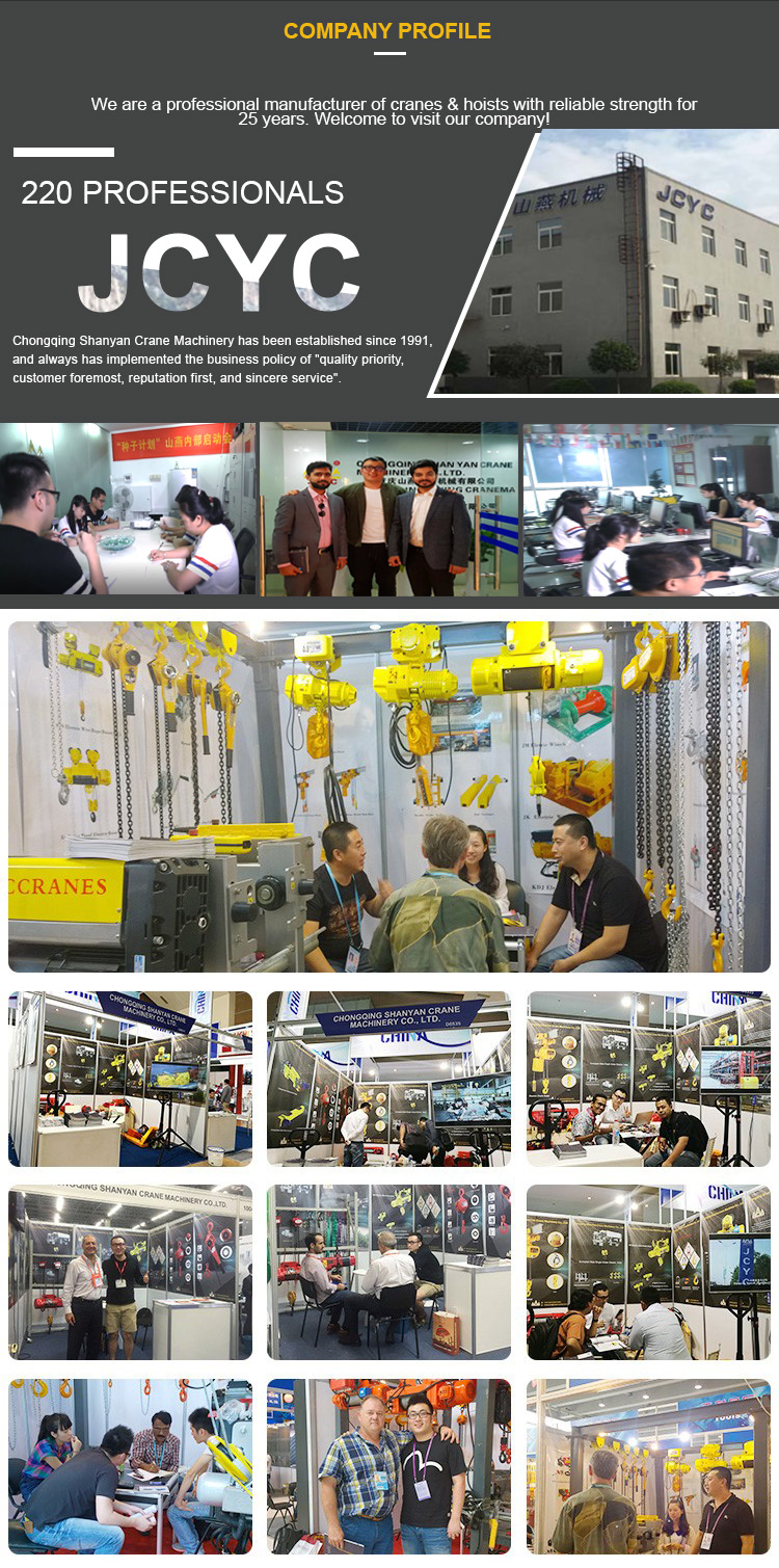 European Single Beam Electric Low Headroom Wire Rope Hoist Bridge Crane