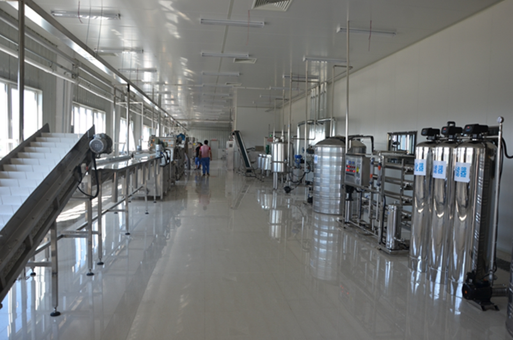 производственная линия пульпы манго нержавеющей стали 380V 2T/H