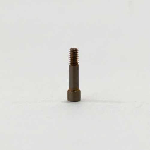 Medical Grade Titanium Prosthetic Screws For Biotech Systems Guarantee Exceptional Strength And Long Term Clinical Stability.