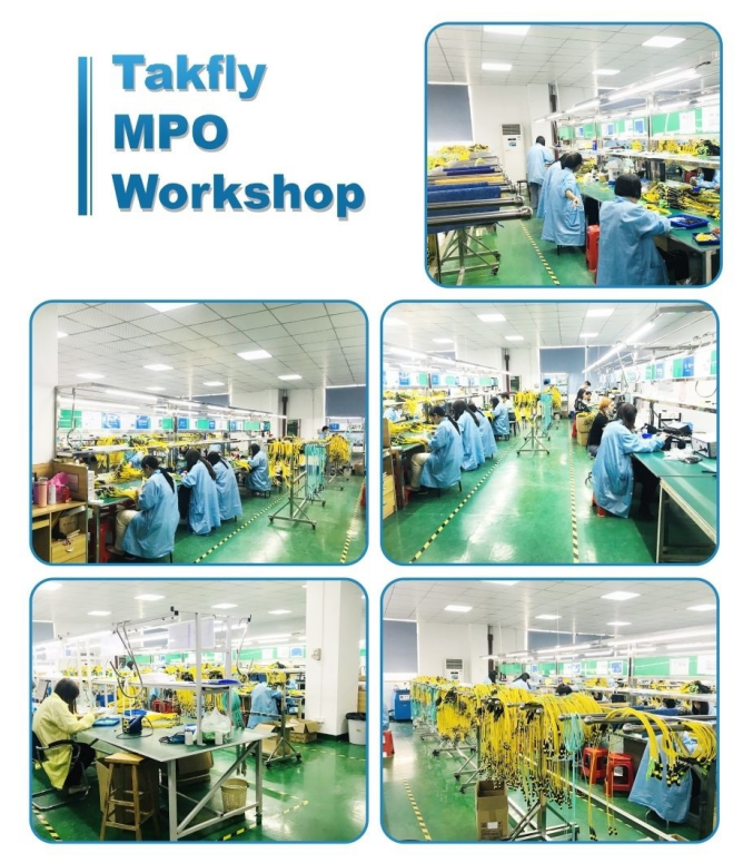 Хобот одиночного режима LSZH MTP MPO OS2 привязывает тип b 5m 10m 12 волокон