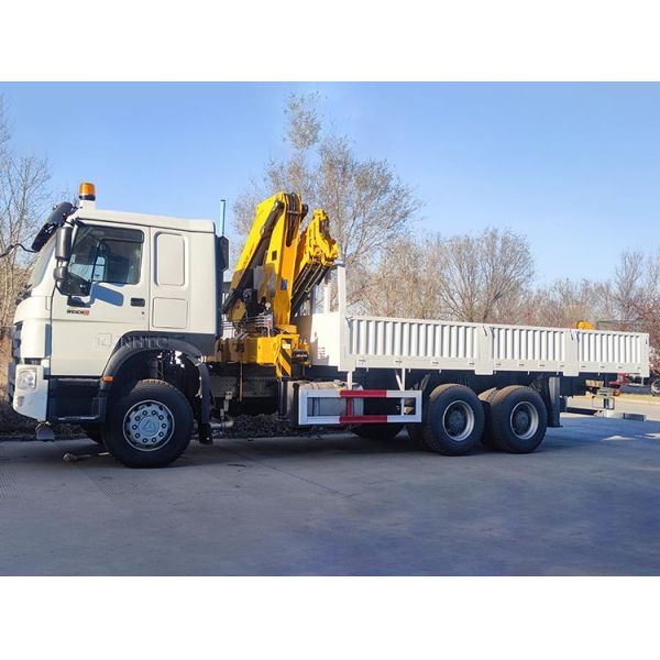 HOWO Грузовик 6х4 400 л.с. Грузовик с 10тонным грузовиком