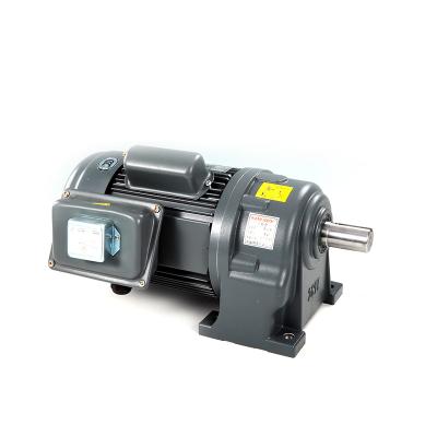 Power 0.1kW AC Gear Reduction Motor 3226Nm High Torque Gear Motor