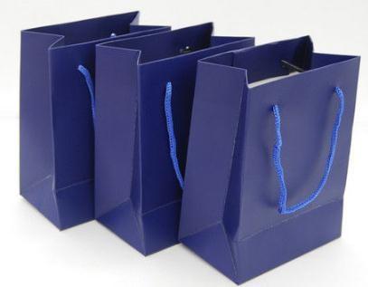 Custom Printed Paper Gift Bags With Handles , Colored Paper Packaging Bags