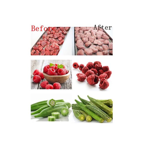 Industrial Grade Food Vacuum Freeze Dryer 300 Kg/Batch