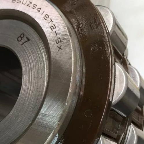 65UZS418T2X-SX-87 Cylindrical Roller Bearing with Bushing 65UZS418 Nylon Cage Eccentric Bearing