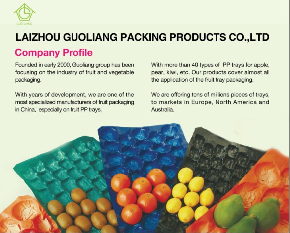 15LB 30g 0.11mm Thickness Tomato Protective Packing Plastic Trays for Fresh Fruit and Vegetable Best Selling Canada and Mexico