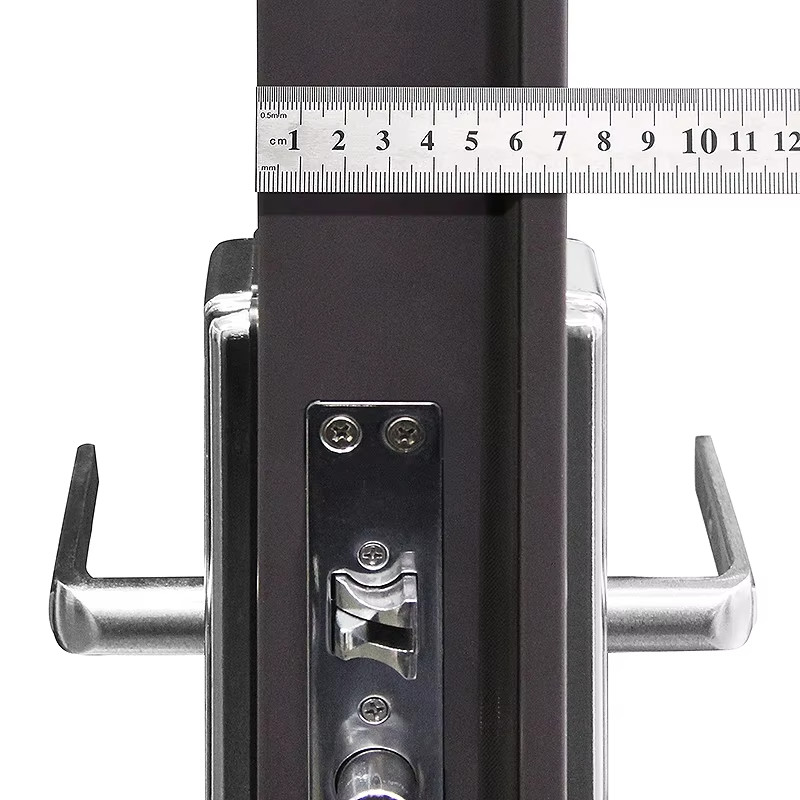 Modern Simple Design Steel Entrance Door for House Factory Anti-theft Swing Open Style Outdoor Application Interior Position