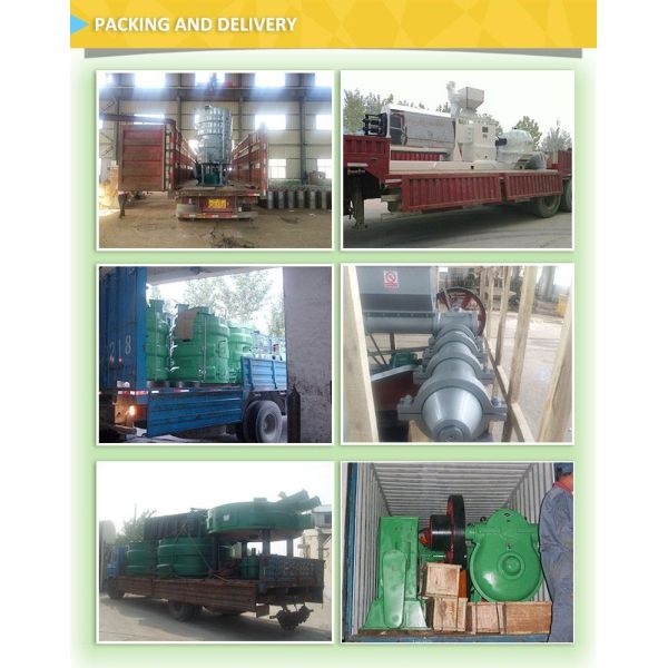 10toms CPO Extracting Machine The Essential Equipment for Successful Palm Oil Processing