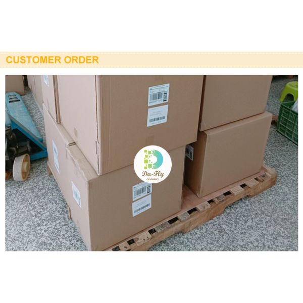 Cat Dog Raised Ceramic Pet Bowl Anti Tipping Elevated Black Color