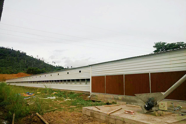 Q235B Steel Structure Poultry House Painted Light Metal Frame Chicken Coop