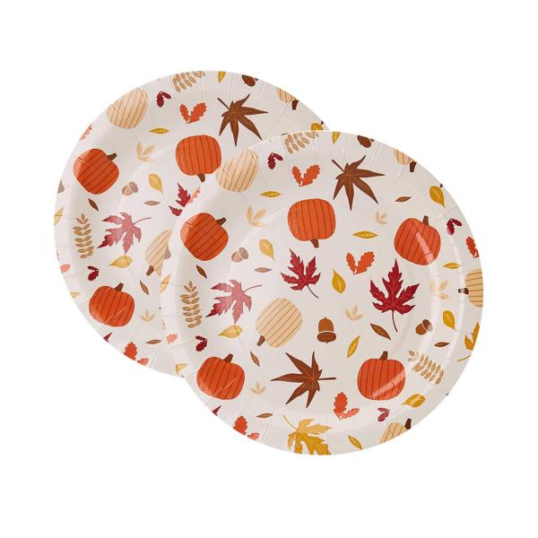 Polychrome  Bamboo Birthday Elegant Eco Friendly Disposable Dinner Plates