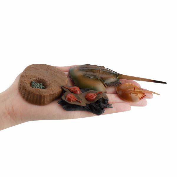 4 PCS Sea Marine Animal Figures Ocean Creatures Action Models Life Cycle Horseshoe Crab Figure