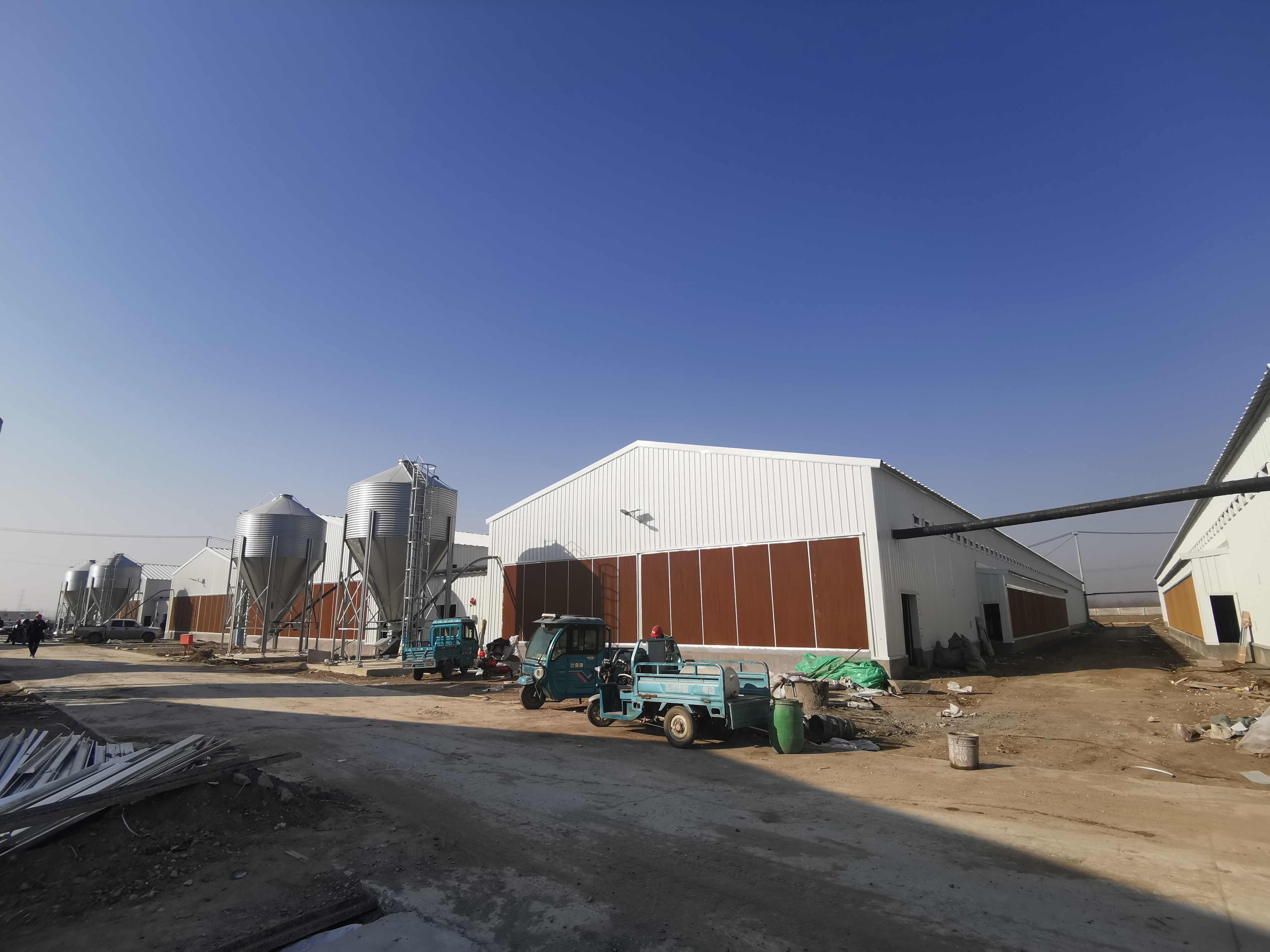 Антикоррозивный оцинкованный полный антоматический птицеводческий завод птицехранилище птицехранилище