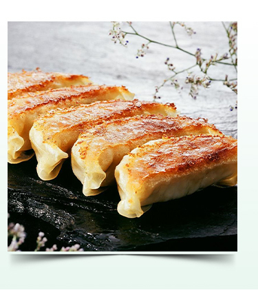 High Quality Source Manufacturer Delicious Quick Japanese Style Steamed Dumplings Fried Frozen Jiaozi Gyoza