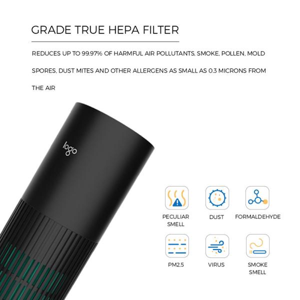 Removes PM2.5 Car Air Purifier Ionizer 10 Million Negative Ions Kills 99.9% Viruses
